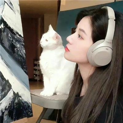 情杀案中案